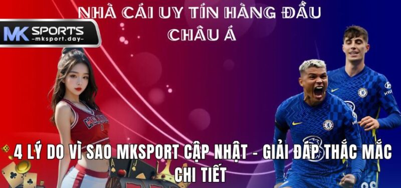 4 ly do vi sao mksport cap nhat chi tiet nhat